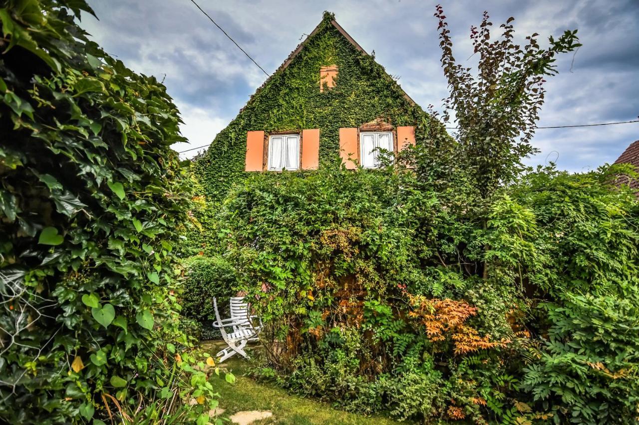 ❊ Au Murmure De L'Eau Au Coeur De L'Alsace ❊ Villa Ebersheim Esterno foto